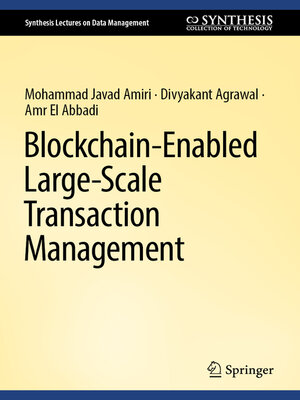 cover image of Blockchain-Enabled Large-Scale Transaction Management